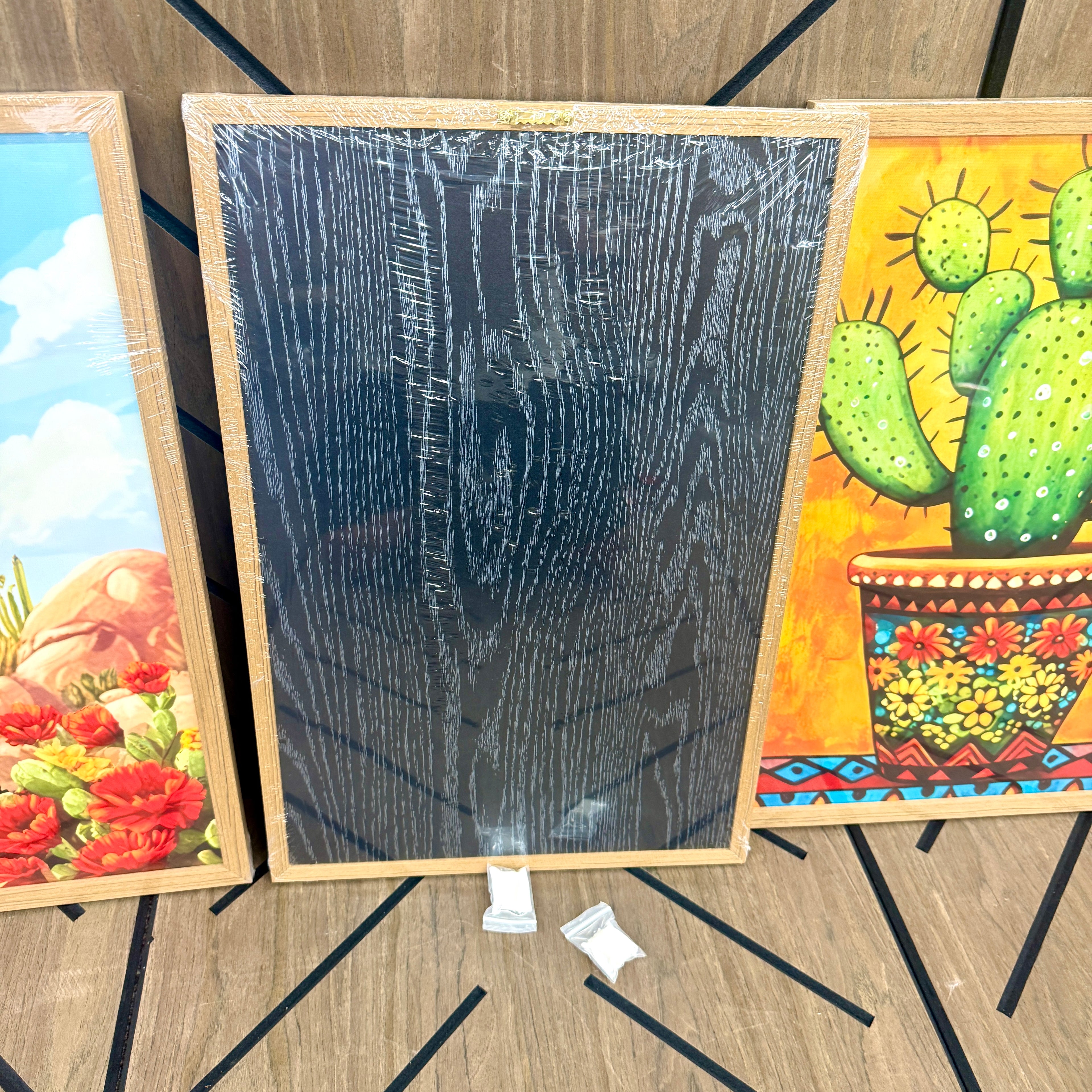 Boho Cactus Wall Art Set of 3 Framed Canvas Prints
