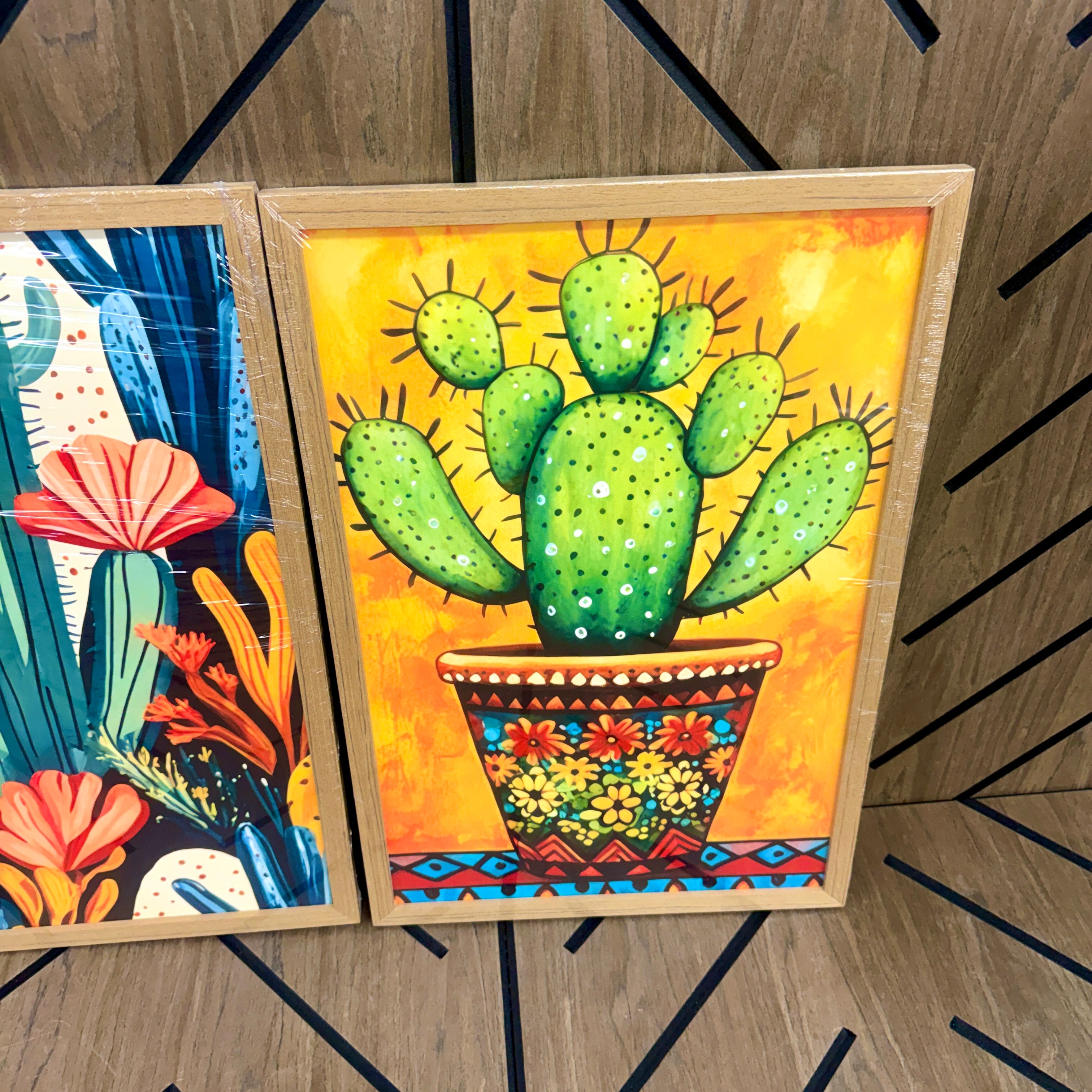 Boho Cactus Wall Art Set of 3 Framed Canvas Prints