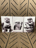 Funny Otter Bathroom Wall Art Set (3)