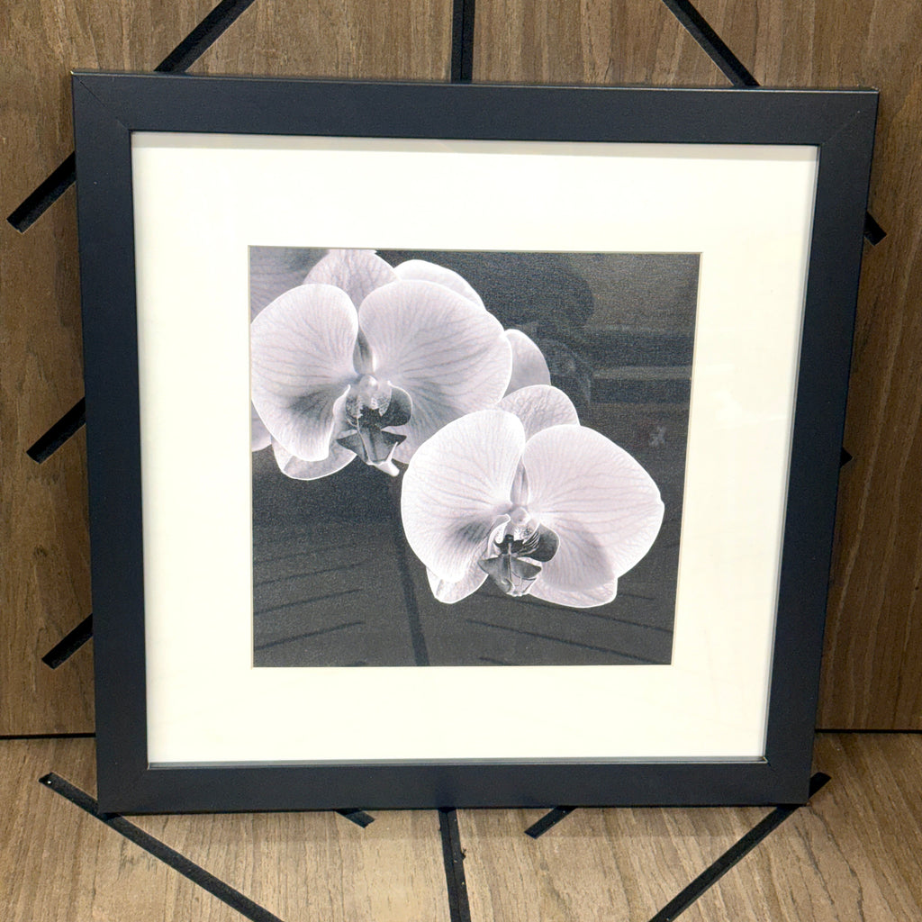 Michael Harrison Orchid Framed Wall Art 16x16