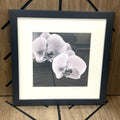 Michael Harrison Orchid Framed Wall Art 16x16