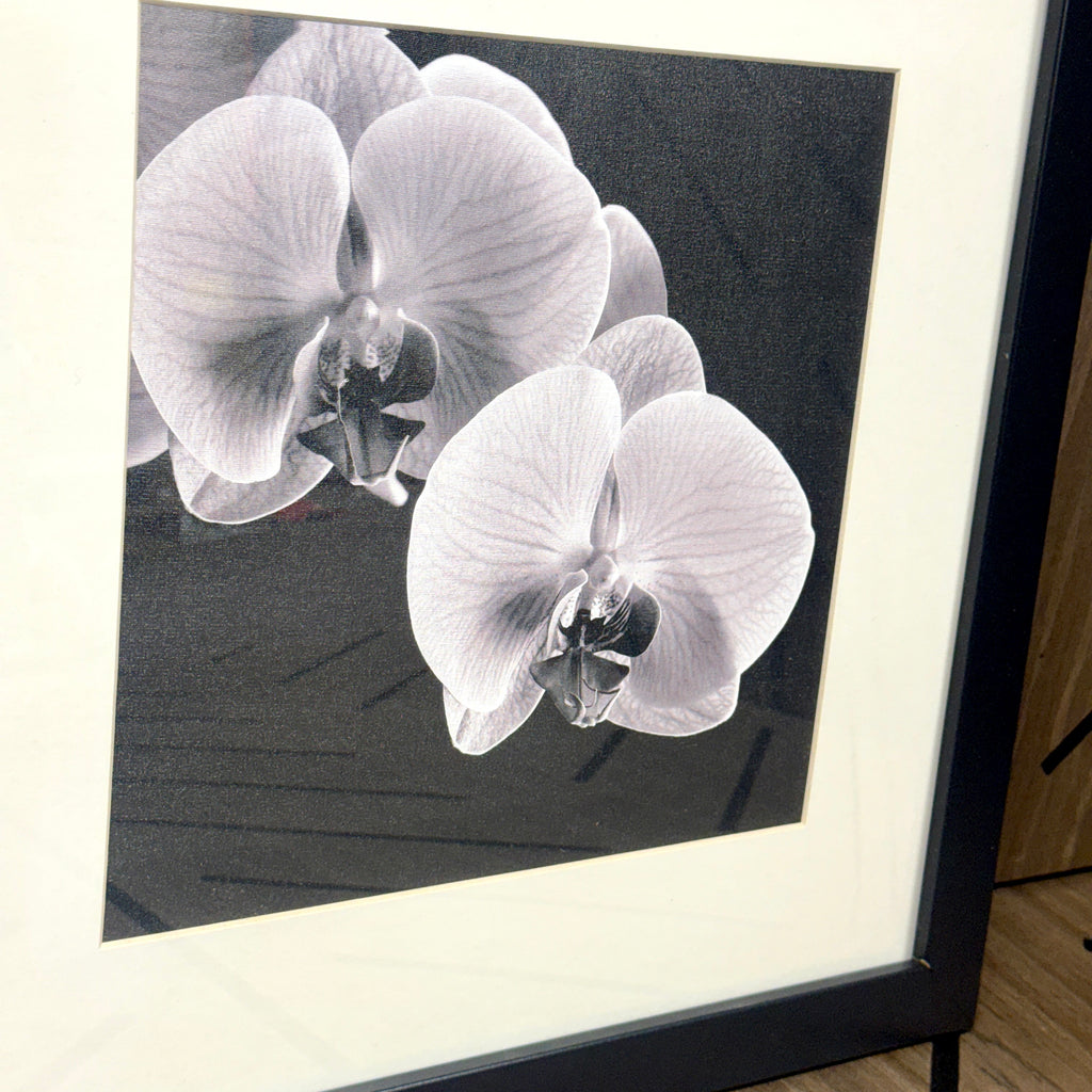 Michael Harrison Orchid Framed Wall Art 16x16