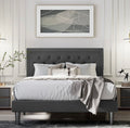 Mercury Row Hegg Tufted Upholstered Platform Bed Full